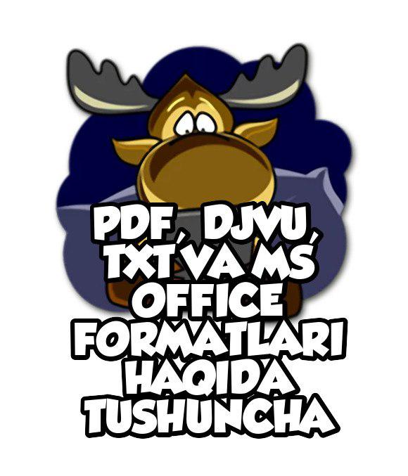 PDF, DJVU, TXT va MS Office formatlari haqida tushuncha